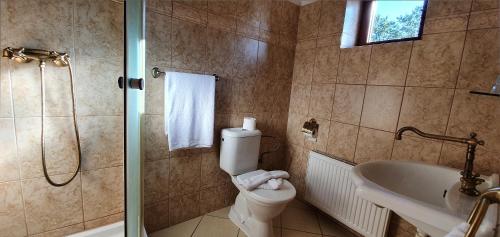 a bathroom with a toilet and a sink and a shower at Koliba Valaška in Trojanovice