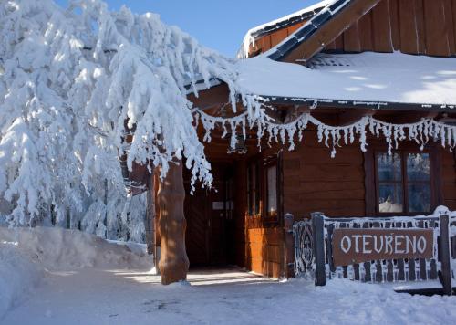 a tree covered in icicles in front of a log cabin at Koliba Valaška in Trojanovice