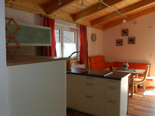 cocina con fregadero y mesa en una habitación en Apartment Wohlesser, en Neumarkt in Steiermark