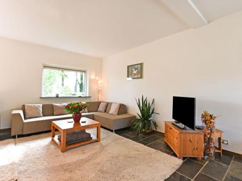 - un salon avec un canapé et une télévision dans l'établissement Luxury Holiday Home with Terrace, à Beek