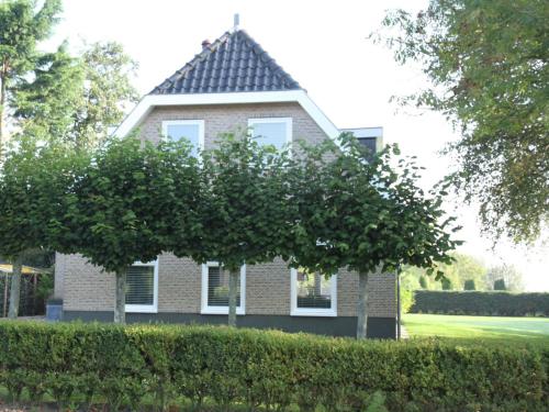 Modern Villa in Groet with Garden tesisinin dışında bir bahçe