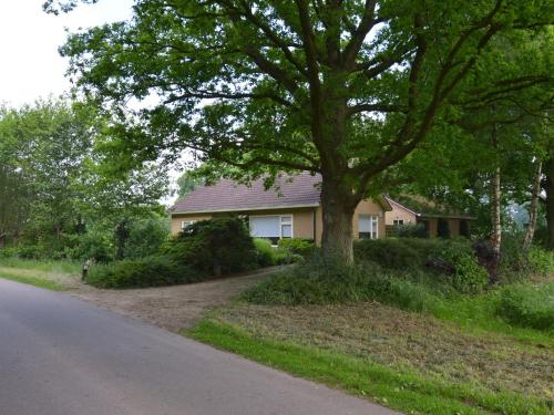 een huis met een boom aan de kant van een weg bij Rural holiday home wildlife spotting Achterhoek in IJzerlo