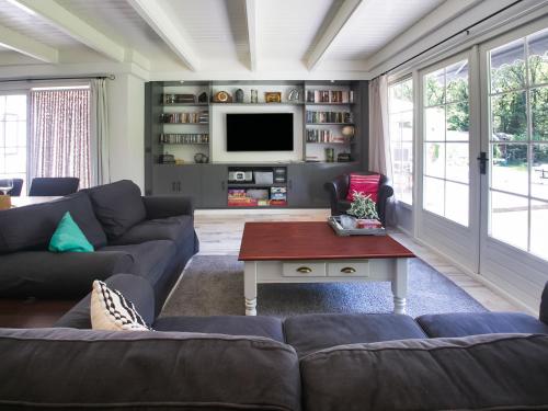 WaterenにあるVilla in Drents-Friese Forest with Poolのソファとテレビのあるリビングルーム