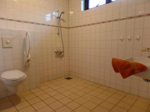 een badkamer met een toilet en een douche bij Detached house with private pool 1km walk to the sandy beach in Ellemeet