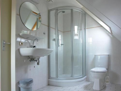een badkamer met een douche, een wastafel en een toilet bij Modern Holiday Home in Trecase with Fireplace in Westerbork