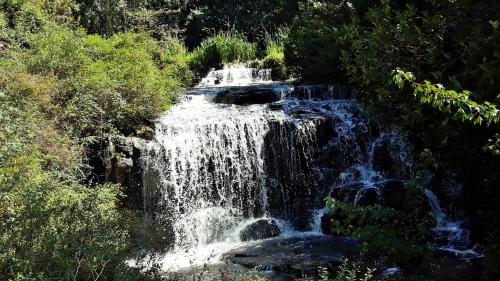 a waterfall in the middle of a forest at Kings Lodge Hotel in Hogsback