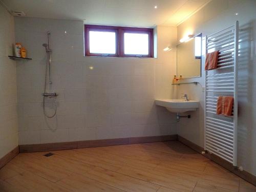 een badkamer met een douche en een wastafel bij Stone house with private pool and garden in quiet place in Ellemeet