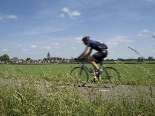 a man riding a bike in a field at Chalet in Netherlands near Forest & Water in Dalfsen