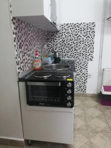 皮羅特的住宿－Apartman Jasna,，一间带水槽和微波炉的小厨房