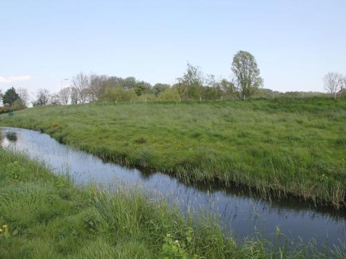 un río en un campo con césped y árboles en Comfortable bungalow near the beach, en Warmenhuizen