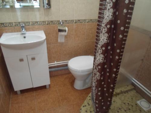 a bathroom with a toilet and a sink and a shower curtain at Гостевой дом "Ламберт" in Volgograd
