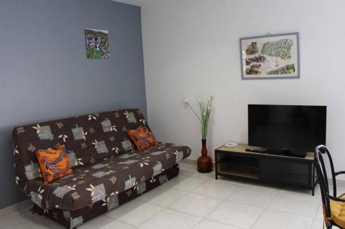 ein Wohnzimmer mit einem Sofa und einem TV in der Unterkunft Le Gîte de La Tour Penchée in Soyons