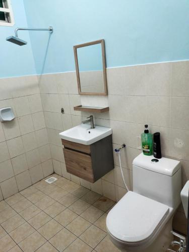 een badkamer met een toilet, een wastafel en een spiegel bij Hazim Homestay Pakej 1 in Changlun