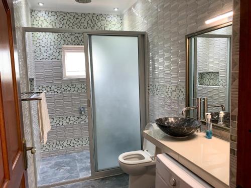 a bathroom with a shower and a sink and a toilet at CAM Getaway Villa in Praslin
