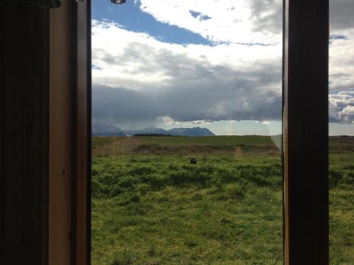 a window view of a field with a horse in the distance at Cabin 2 at Lundar Farm in Varmaland