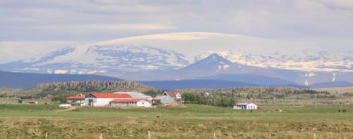 a group of houses in a field in front of a mountain at Cabin 1 at Lundar Farm in Varmaland