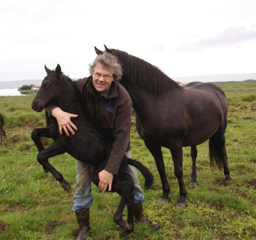 a man holding a black horse in a field at Cabin 1 at Lundar Farm in Varmaland