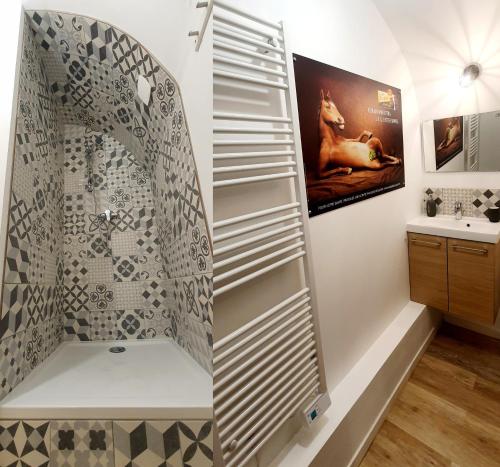 a bathroom with a shower and a sink at Appartement "POULAIN" en Centre-ville linge inclus in Blois