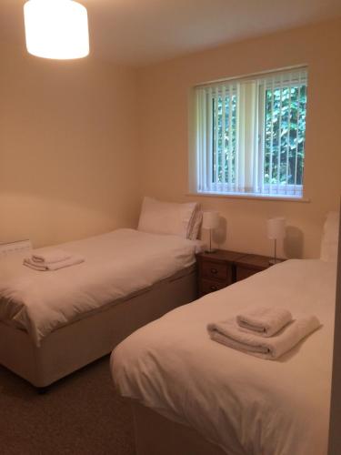 two beds in a room with a window at Hilltop Cottage in Dursley