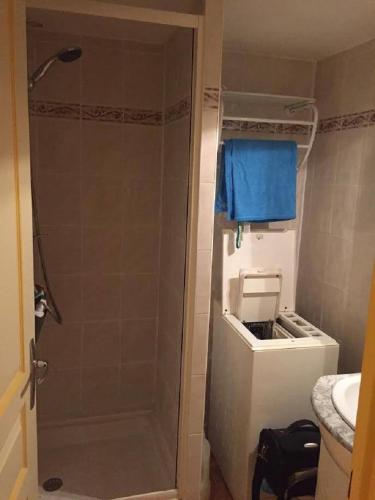 une salle de bain avec douche et lavabo dans l'établissement les bastides du golf, à Saint-Cyprien