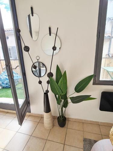 une chambre avec une plante dans un vase à côté d'un miroir dans l'établissement GregBnb - Centre Ancien - Studio Roof-Top - CLIMATISÉ - 5eme étage, à Toulon