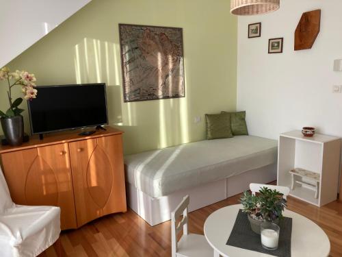 a living room with a couch and a flat screen tv at Natasha's Garden House in Dol pri Ljubljani