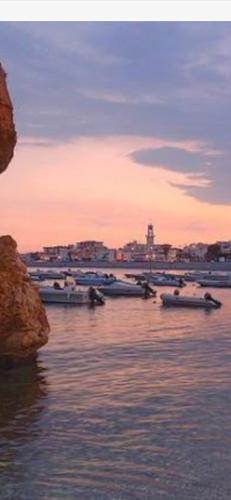 Φυσικό τοπίο κοντά σε αυτό το διαμέρισμα