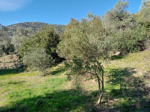 Photo de la galerie de l'établissement Villa Diana, à Áyios Yeóryios