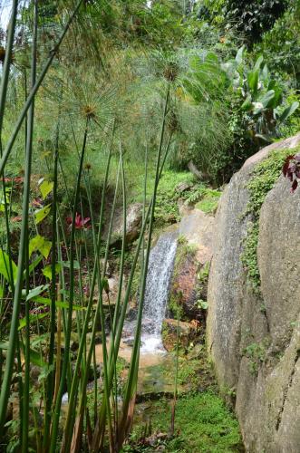 a waterfall in a garden with rocks and plants at Moonriver Lodge in Cameron Highlands