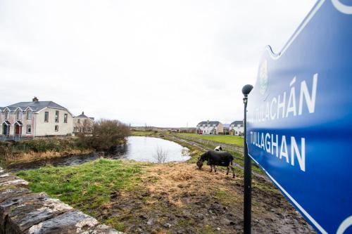 a cow is standing next to a river at Beautiful coastal house at the Drowes Rivermouth in Bundoran
