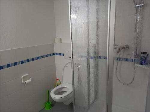 a bathroom with a white toilet and a shower at Wollröder Krug in Guxhagen