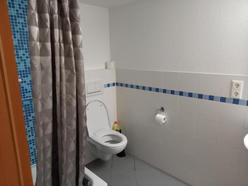 a bathroom with a toilet and a shower curtain at Wollröder Krug in Guxhagen