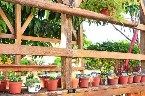 a bunch of potted plants on a wooden fence at Taichung Xinshe Garden Life Homestay B&B in Xinshe