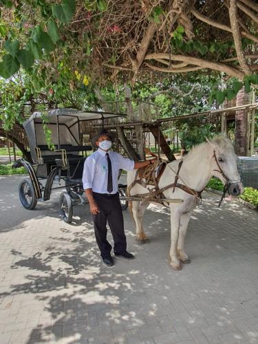 a man standing next to a horse and a carriage at Hotel Chale Lagoa Dos Ingas in Martins