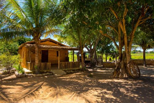 a small house in the middle of some palm trees at Hotel Chale Lagoa Dos Ingas in Martins