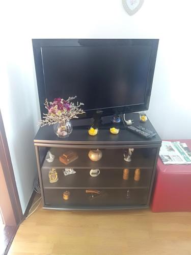 Μια τηλεόραση ή/και κέντρο ψυχαγωγίας στο Apartman Ris Gorski Kotar Crni Lug