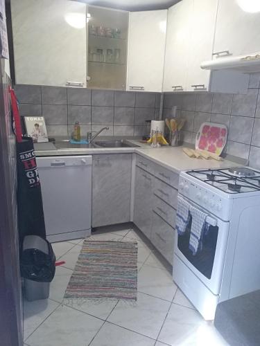 Η κουζίνα ή μικρή κουζίνα στο Apartman Ris Gorski Kotar Crni Lug