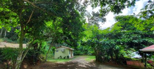 Jardín al aire libre en Hostal y cabinas anita-and rafting tour!
