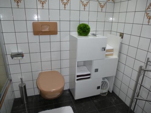 a bathroom with a toilet and a plant on a shelf at Eifel Panoramablick in Kelberg