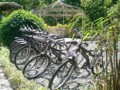 a group of bikes parked in a row at Bamboo Retreat in Gangtok