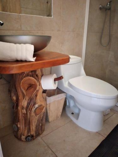 a bathroom with a toilet and a wooden table with a sink at Hotel Patagonia Truful y lodge Patagonia truful in Melipeuco