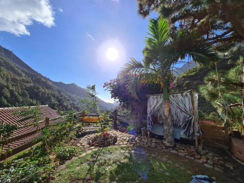 a house with a palm tree next to a mountain at Rivendell, The Moon's Cradle in El Paso