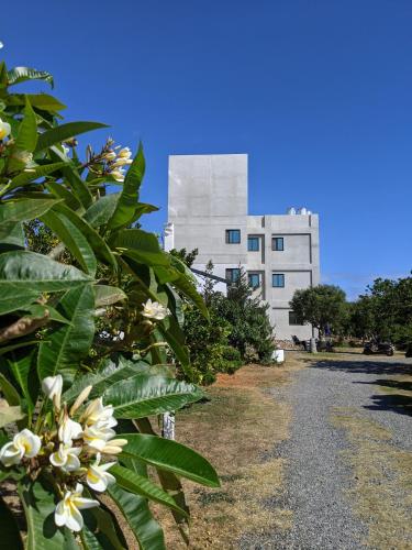 a building with white flowers in front of a building at 里夏民宿.墾丁後壁湖 in Hengchun
