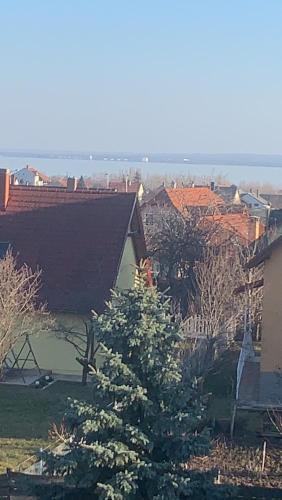 a tree in a yard next to a house at Haus Kristina in Csopak