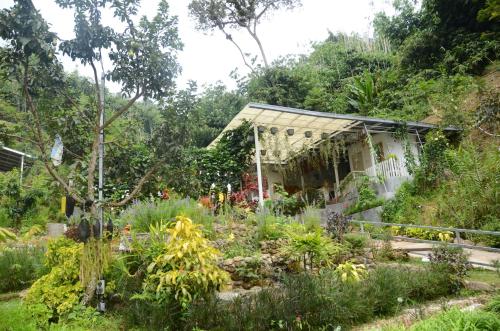 a garden in front of a small house at Moonriver Lodge in Cameron Highlands