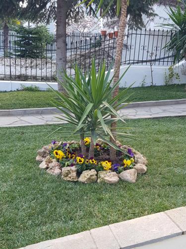 a palm tree in a flower garden in the grass at Fyllou Apartment Asprovalta in Asprovalta