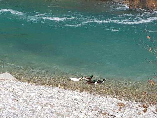 Φυσικό τοπίο κοντά σε αυτή η παραθεριστική κατοικία