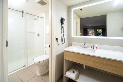a bathroom with a sink and a toilet and a mirror at Days Inn by Wyndham Atlanta Stone Mountain in Stone Mountain