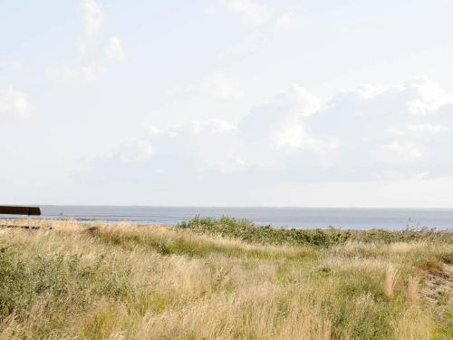 ein Grasfeld mit dem Ozean im Hintergrund in der Unterkunft 4 person holiday home in R m in Rømø Kirkeby