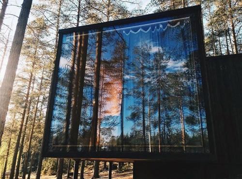 a painting of a forest with the sky at Greenvald Park Scandinavia in Ogon'ki